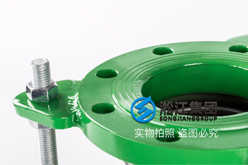 DN100*(bio)mya GB flanged corrugated compensator