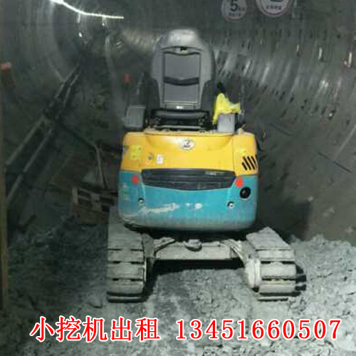 微型小挖機租賃的應(yīng)用廣泛，今天帶大家來了解一下！(圖1)